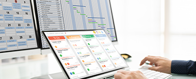 Project Management Specialist Certificate