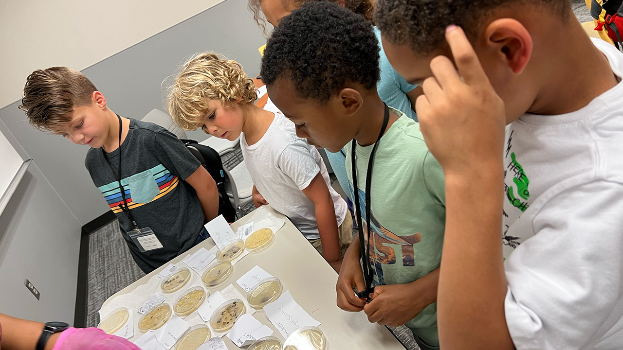 UNC Charlotte Youth Programs Camps on Campus Cool School STEAM Explorers